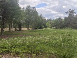 Продается зем участок на первой линии подъезд круглый год фото 8 Приозерск