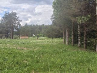 Продается зем участок на первой линии подъезд круглый год фото 11 Приозерск