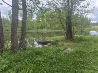 Продается зем участок на первой линии подъезд круглый год фото 20 Приозерск