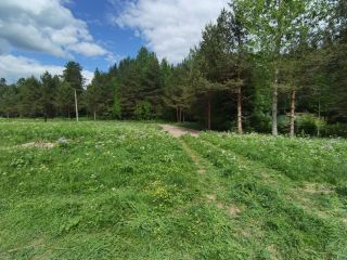 Продается зем участок на первой линии подъезд круглый год фото 24 Приозерск