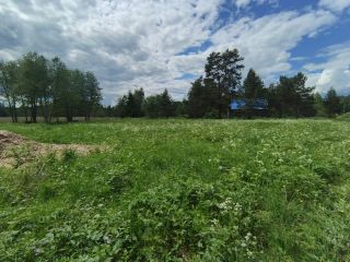 Продается зем участок на первой линии подъезд круглый год фото 26 Приозерск
