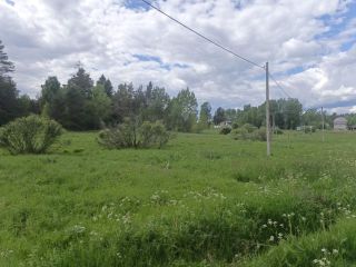 Продается зем участок на первой линии подъезд круглый год фото 48 Приозерск