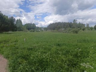 Продаю участок земли под индивидуальное жилищное строительство на первой линии фото 37 Приозерск