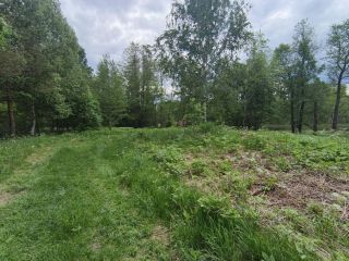 Продам зем участок подъезд круглый год под индивидуальное жилищное строительство фото 2 Приозерск