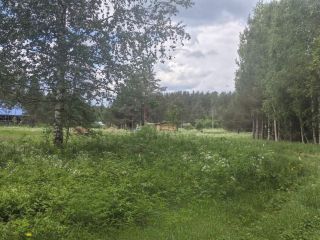 Продам зем участок подъезд круглый год под индивидуальное жилищное строительство фото 22 Приозерск