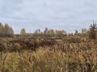 Продается участок земли под личное подсобное хозяйство с коммуникациями фото 2 Суворов