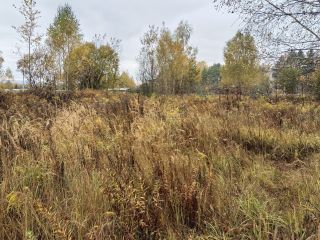 Продается участок земли под личное подсобное хозяйство с коммуникациями фото Суворов