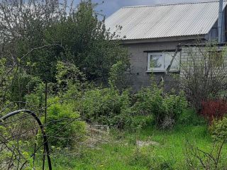 Продам дом с плодоносящим садом хорошее состояние фото 8 Спасск-Рязанский