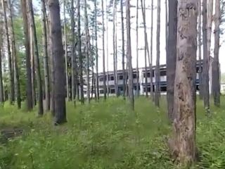 Продается помещение свободного назначения фото 14 Деревня Костино