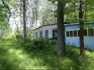 Продается помещение свободного назначения фото 15 Деревня Костино