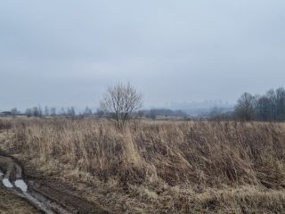 Продаю участок земли есть электричество фото 2 Щёкино