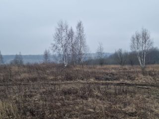 Продаю участок земли есть электричество фото 4 Щёкино