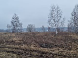 Продаю участок земли есть электричество фото 6 Щёкино