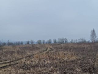 Продаю участок земли есть электричество фото 7 Щёкино