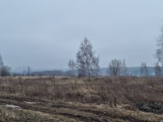 Продаю участок земли есть электричество фото 8 Щёкино