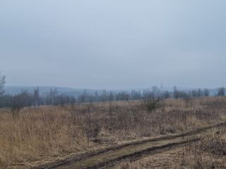 Продаю участок земли есть электричество фото 9 Щёкино