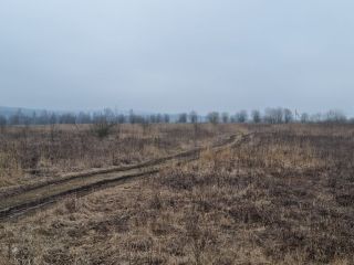 Продаю участок земли есть электричество фото 12 Щёкино
