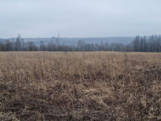 Продаю участок земли есть электричество фото 18 Щёкино