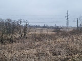 Продам зем участок есть электричество фото 5 Щёкино