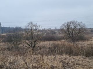 Продам зем участок есть электричество фото 8 Щёкино