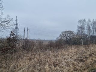 Продам зем участок есть электричество фото 9 Щёкино