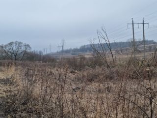 Продам зем участок есть электричество фото 14 Щёкино