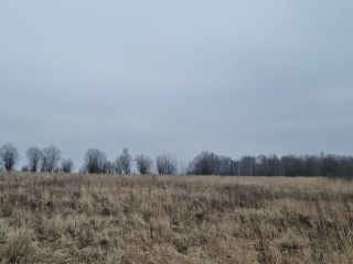Продаю участок земли есть электричество фото 4 Щёкино
