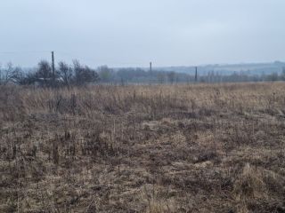 Продаю участок земли есть электричество фото 6 Щёкино