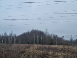 Продаю участок земли есть электричество фото 11 Щёкино