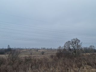 Продам участок земли есть электричество фото Щёкино