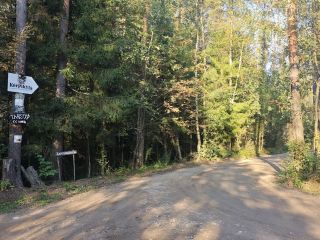 Продам участок земли без посредников в садовом некоммерческом товариществе фото 2 Выборг