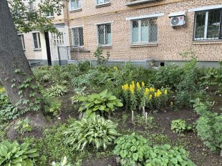 Продам трешку взрослый собственник фото 20 Москва