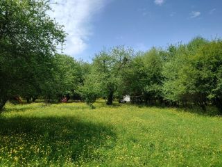 Продам деревянный дом ремонт по авторскому проекту с плодоносящим садом торг уместен фото 4 Станица Хамкетинская