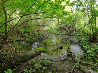 Продаю дачу кирпичный в садовом некоммерческом товариществе фото 8 Пенза