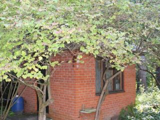 Продается кирпичный дом металлический есть баня фото 25 Жуков