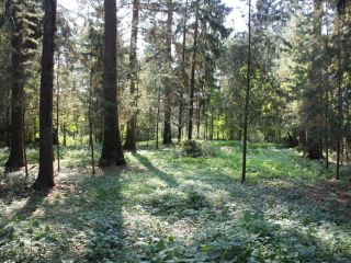 Продается кирпичный дом металлический есть баня фото 35 Жуков