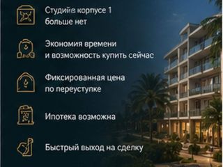 Продается студия имеется охрана видеонаблюдение фото 15 Сочи