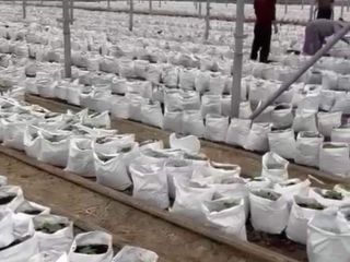 Продается помещение под производство асфальтная дорога фото 7 Жуков