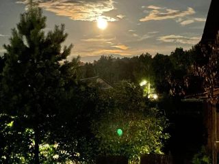Сдаю коттедж фото 5 Барнаул
