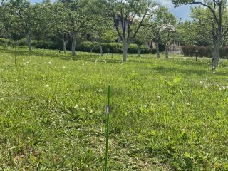 Продам зем участок асфальтная дорога фото Руза