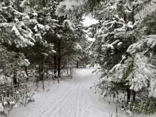Сдам дом фото 3 Серпухов