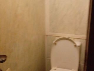 Продаю 3 комнатную квартиру пластиковые окна фото 7 Москва