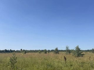 Продаю участок земли круглогодичный подъезд фото 2 Калязин