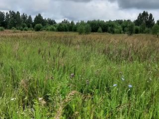 Продам нежилое помещение фото 6 Дорогобуж