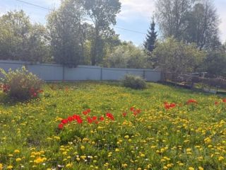 Продам земельный участок документы на руках фото Смоленск