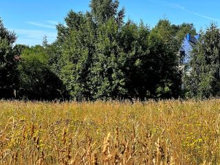Продается участок земли имеется скважина красивый фото 14 ДНТ Поляна-2