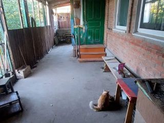 Продается кирпичный дом документы готовы красивый фото 16 Ростов-на-Дону
