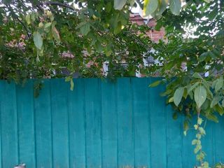 Продается кирпичный дом документы готовы красивый фото 30 Ростов-на-Дону