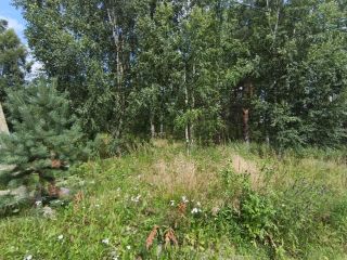 Продам зем участок c артезианской скважиной в дачном некоммерческом партнерстве фото 17 Приозерск
