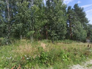 Продам зем участок c артезианской скважиной в дачном некоммерческом партнерстве фото 18 Приозерск